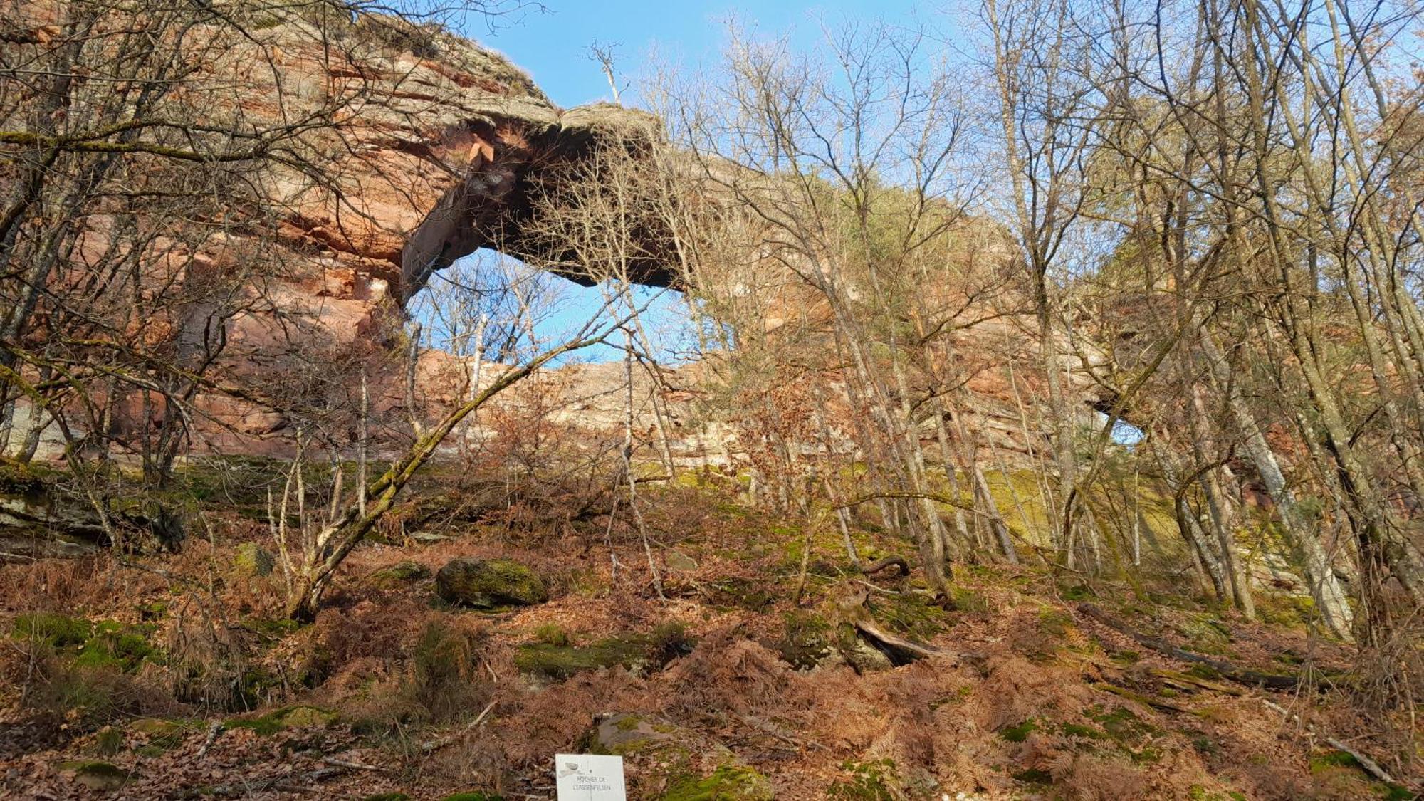 Chez Anny et Jean Au Mittelbuehl Panzió Reichshoffen Kültér fotó