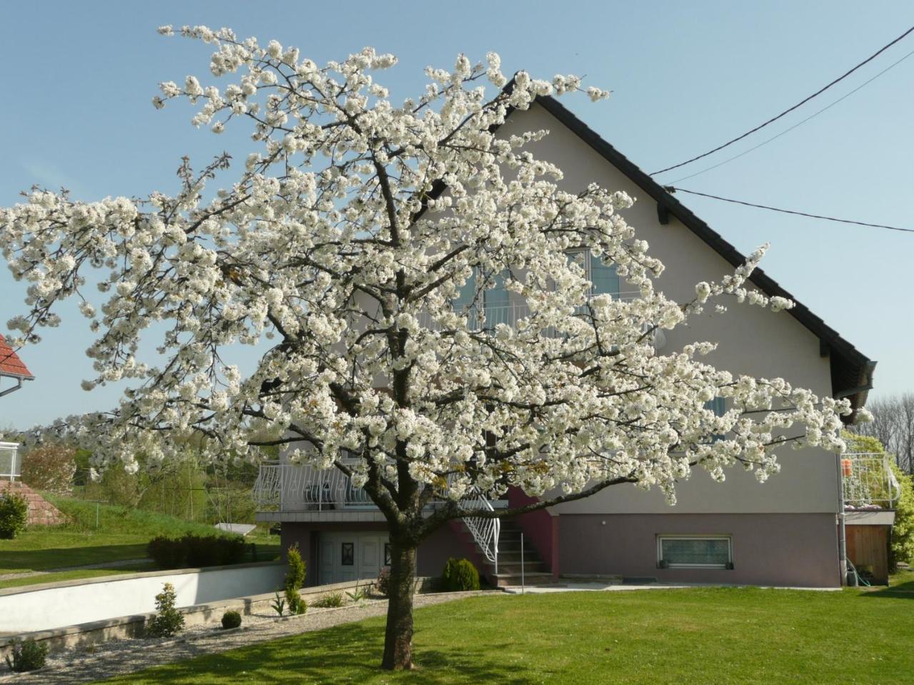 Chez Anny et Jean Au Mittelbuehl Panzió Reichshoffen Kültér fotó